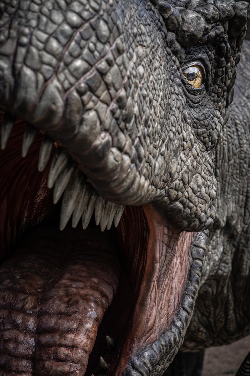 Tyrannosaurus Rex Fossil
